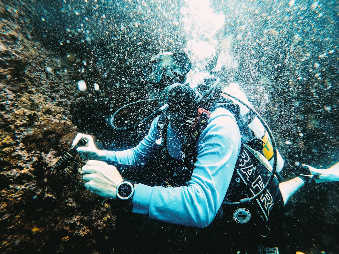 Rare Earth Elements: Deep Dive