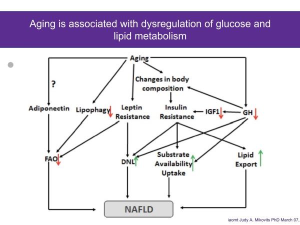 Health & Wellness Roundtable 3 - The Sweetener Landscape