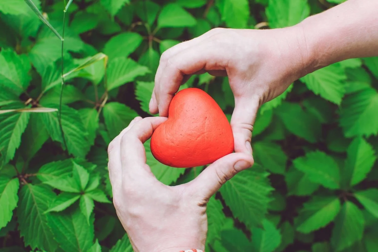 Health & Wellness Roundtable 2 - Understanding Blood Pressure