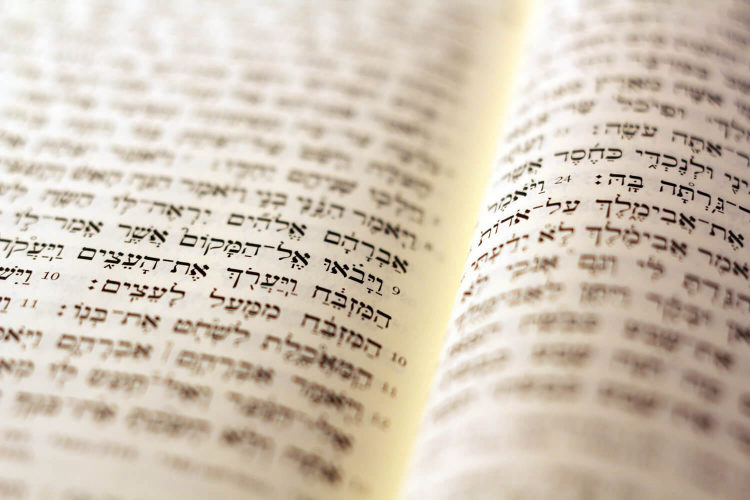 0011 Bible Study - Old Testament: Genesis