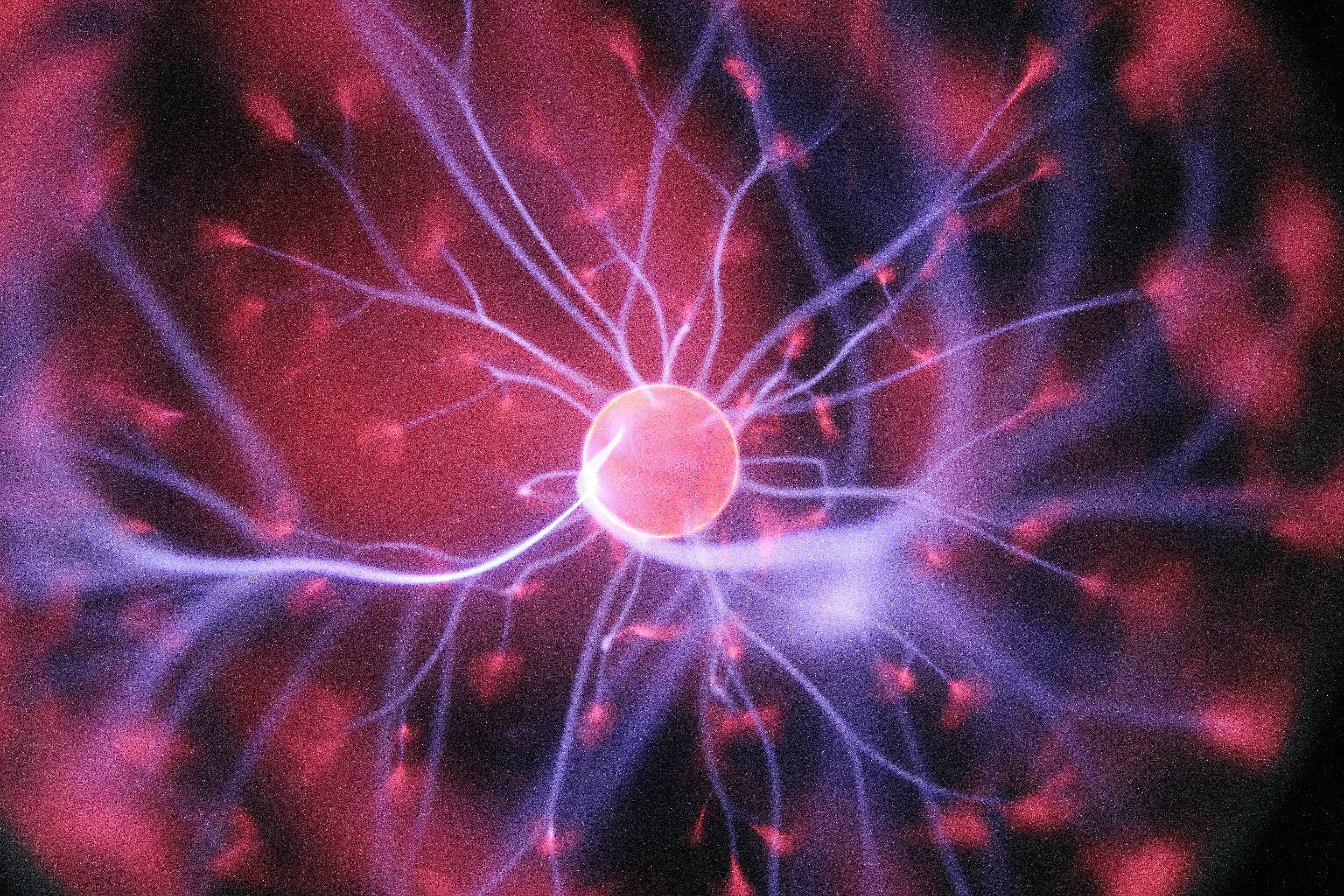 USA Stem Cell Therapy Basics