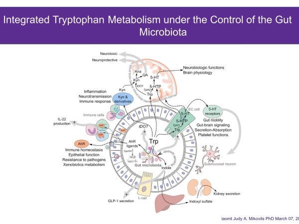 Health & Wellness Roundtable 1 - Epigenetics and Environmental Impact in Children