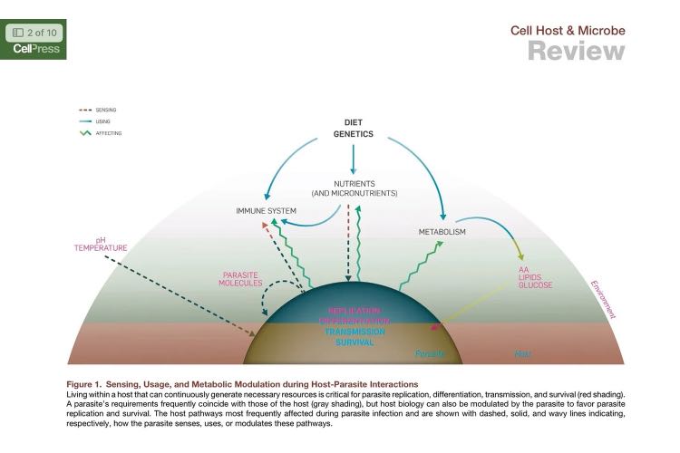 Parasite Sensing of Host Nutrients and Environmental Cues