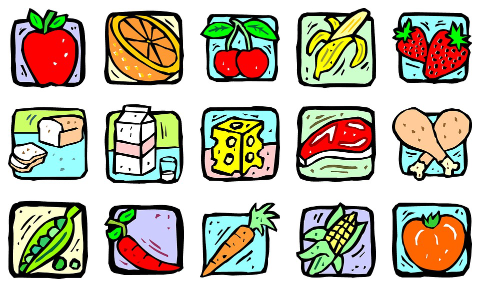 The Basics of Immune Function and the Importance of Innate Immunity